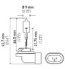 Hella Bulb 889 12V 27W Pgj13 T325 - 889 Technical Drawing