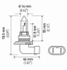 Hella Bulb 9005 12V 65W P20D T4 +50 (2) - 9005P50TB Technical Drawing