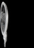 Hella Work Lamp Na 0Gr Md1224 Lt M703 1G0 - 996276451 Photo - Primary