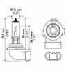 Hella Bulb H10/9145 12V 45W Py20D T4 (2) - H10TB Technical Drawing