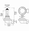 Hella Bulb H8 12V 35W Pgj191 T4 (2) - H8TB Technical Drawing