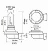 Hella Bulb H9 12V 65W Pgj195 T4 (2) - H9TB Technical Drawing