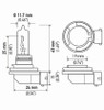 Hella Bulb H9 12V 65W Pgj195 T4 (2) - H9TB Technical Drawing