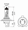 Hella Bulb Hs1 12V 35/35W Px43T T4625 Sb - HS1SB Technical Drawing