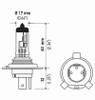 Hella Bulb Hs1 12V 35/35W Px43T T4625 (2) - HS1TB Technical Drawing