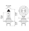 Hella High Wattage Bulb H7 12V 100W PX26d T4.6 - H7 100W Technical Drawing