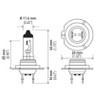 Hella Bulb H7 12V 70W PX26d T4.625 - H7 70W Technical Drawing