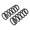 ARB / OME Coil Spring Rear 80 Hd - 2863 Photo - out of package