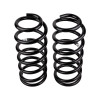 ARB / OME Coil Spring Rear Prado 150 - 2898 Photo - Unmounted