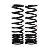 ARB / OME Coil Spring Rear Isuzu - 2919 Photo - Primary