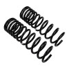 ARB / OME Coil Spring Rear Isuzu - 2919 Photo - out of package