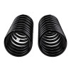 ARB / OME Coil Spring Rear Gu Wagon - 2980 Photo - Close Up