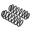 ARB / OME Coil Spring Rear Mits Pajero Ns Swb - 2994 Photo - out of package