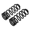 ARB / OME Coil Spring Rear Np300 200Kg - 3096 Photo - out of package