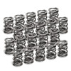 Supertech VW VR6 Dual Valve Spring - Set of 20 - SPR-V2093-4-20S User 1