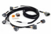 Haltech Elite i6 R35 COP Ignition Harness - HT-130349 User 1