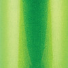 Wehrli 20-24 Duramax L5P Auxiliary Coolant Tank Kit - Sparkle Granny Smith - WCF100224-SGS User 1