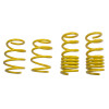 ST Lowering Springs Ford Mustang V8 - 28230052 User 1