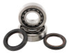 Hot Rods Bearing/Seal Kit Crf450R - K019 Photo - Primary