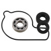 Hot Rods Water Pump Kit - WPK0001 Photo - Primary