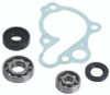 Hot Rods Water Pump Kit - WPK0008 Photo - Primary
