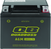 QuadBoss 06-08 Arctic Cat 50 DVX Maintenance-Free AGM Battery - 401376 Photo - Primary