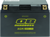 QuadBoss 06-20 Yamaha YFM700R Raptor Maintenance-Free AGM Battery - 401380 Photo - Primary