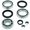 QuadBoss 2002 Polaris ATV Pro 500 4x4 PPS Rear Differential Bearing & Seal Kit - 413026 Photo - Primary