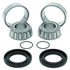 QuadBoss 07-09 amaha YFM250 Big Bear Swingarm Repair Kit - 413440 Photo - Primary