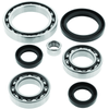 QuadBoss 07-11 Yamaha YFM350 Grizzly 4x4 IRS Front Differential Bearing & Seal Kit - 414289 Photo - Primary