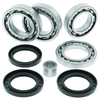 QuadBoss 13-15 Arctic Cat Wildcat 1000 Rear Differential Bearing & Seal Kit - 414565 Photo - Primary