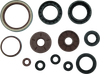 QuadBoss 09-10 Arctic Cat 1000 TRV Oil Seal Set - 564644 User 1