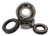 Hot Rods 85-86 Honda ATC 250 R 250cc Main Bearing & Seal Kit - K013 Photo - Primary