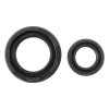 Hot Rods 87-06 Yamaha YFZ 350 Banshee 350cc Main Bearing & Seal Kit - K018 Photo - Primary