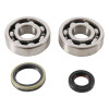 Hot Rods 92-98 Suzuki RM 125 125cc Main Bearing & Seal Kit - K042 Photo - Primary