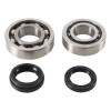 Hot Rods 04-05 Honda TRX 450 ER 450cc Main Bearing & Seal Kit - K046 Photo - Primary