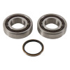 Hot Rods 2011 KTM 250 SX-F 250cc Main Bearing & Seal Kit - K068 Photo - Primary