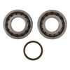 Hot Rods 2011 KTM 250 SX-F 250cc Main Bearing & Seal Kit - K068 Photo - Primary