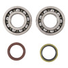 Hot Rods 10-20 Suzuki RM-Z 250 250cc Main Bearing & Seal Kit - K074 Photo - Primary