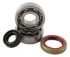 Hot Rods 09-12 KTM 50 SX 50cc Main Bearing & Seal Kit - K080 Photo - Primary