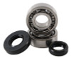 Hot Rods 04-05 KTM 50 SX PRO SR 50cc Main Bearing & Seal Kit - K089 Photo - Primary