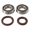 Hot Rods 15-17 KTM 250 SX-F Factory 250cc Main Bearing & Seal Kit - K092 Photo - Primary