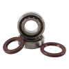 Hot Rods 15-17 KTM 250 SX-F Factory 250cc Main Bearing & Seal Kit - K092 Photo - Primary