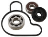 Hot Rods 2009 KTM 65 XC 65cc Water Pump Kit - WPK0057 Photo - Primary