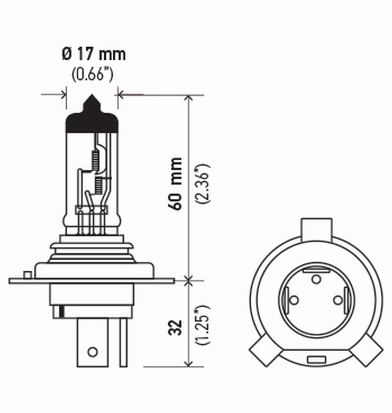 HS1 Halogenlampe 12V 35/35W P43t - Ersatzbirne Für Fahrzeugscheinwerfer