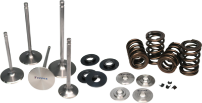 Ferrea Honda Civic Si L15B Turbo Valve Spring Kit Valve Spring Kit - KT4051 User 1