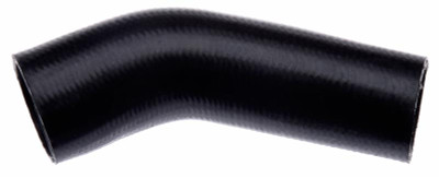 Gates 96-01 Ford Mustang V-8 4.6L Lower - Rad. To Thermostat Molded Coolant Hose - 20887 Photo - Primary