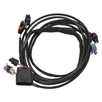 Edelbrock Chevy LS Using a 4-Pin Alternator Pro-Flo 4+ EFI Wiring Harness - 36155 Photo - Primary