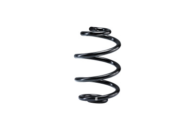 Eibach 16-24 Chevrolet Camaro SS Replacement Rear Spring - Single - R40017 Photo - Primary