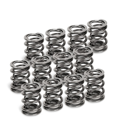 Supertech VW VR6 Dual Valve Spring - Set of 12 - SPR-V2093-4-12 User 1